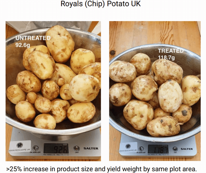 EMBRACING AGRITECH SOLUTIONS FOR INCREASED YIELD