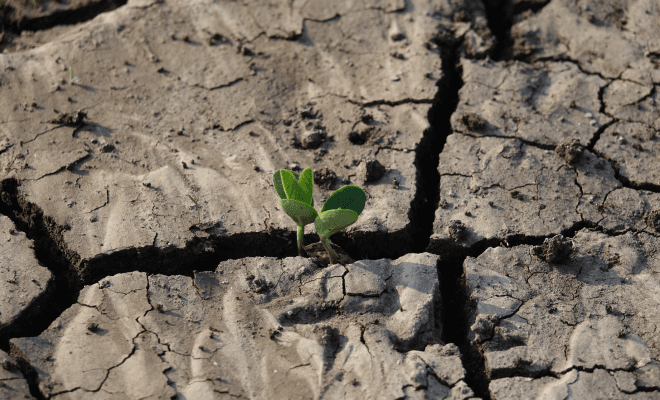 EROSION OVERVIEW: A MENACE TO AGRICULTURAL PRACTICES