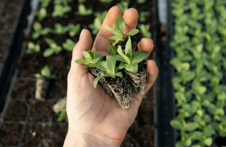 MODERN SOLUTION FOR EVERYDAY AGRICULTURAL PROBLEMS