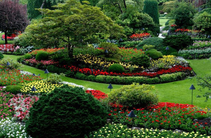 GROUND IMPROVER IN EFFECTIVE LANDSCAPING