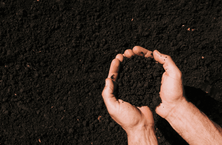 GROUND IMPROVER REDEFINING THE FUTURE OF HORTICULTURE