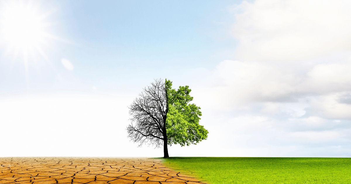 Soil degradation and rising salinity